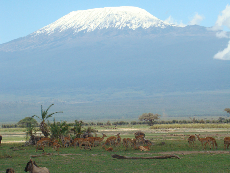 Kilimanjaro