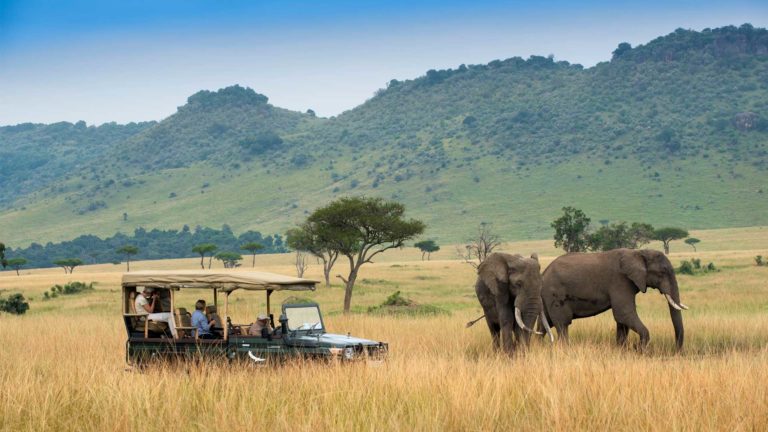 seeing-elephants-on-a-game-drive-in-the-masai-mara-768x432