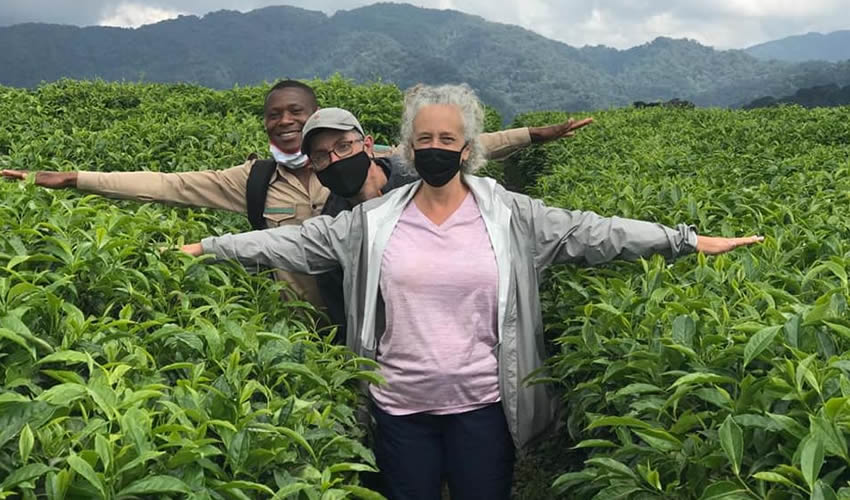 Tea Plantation Visit - Image 3